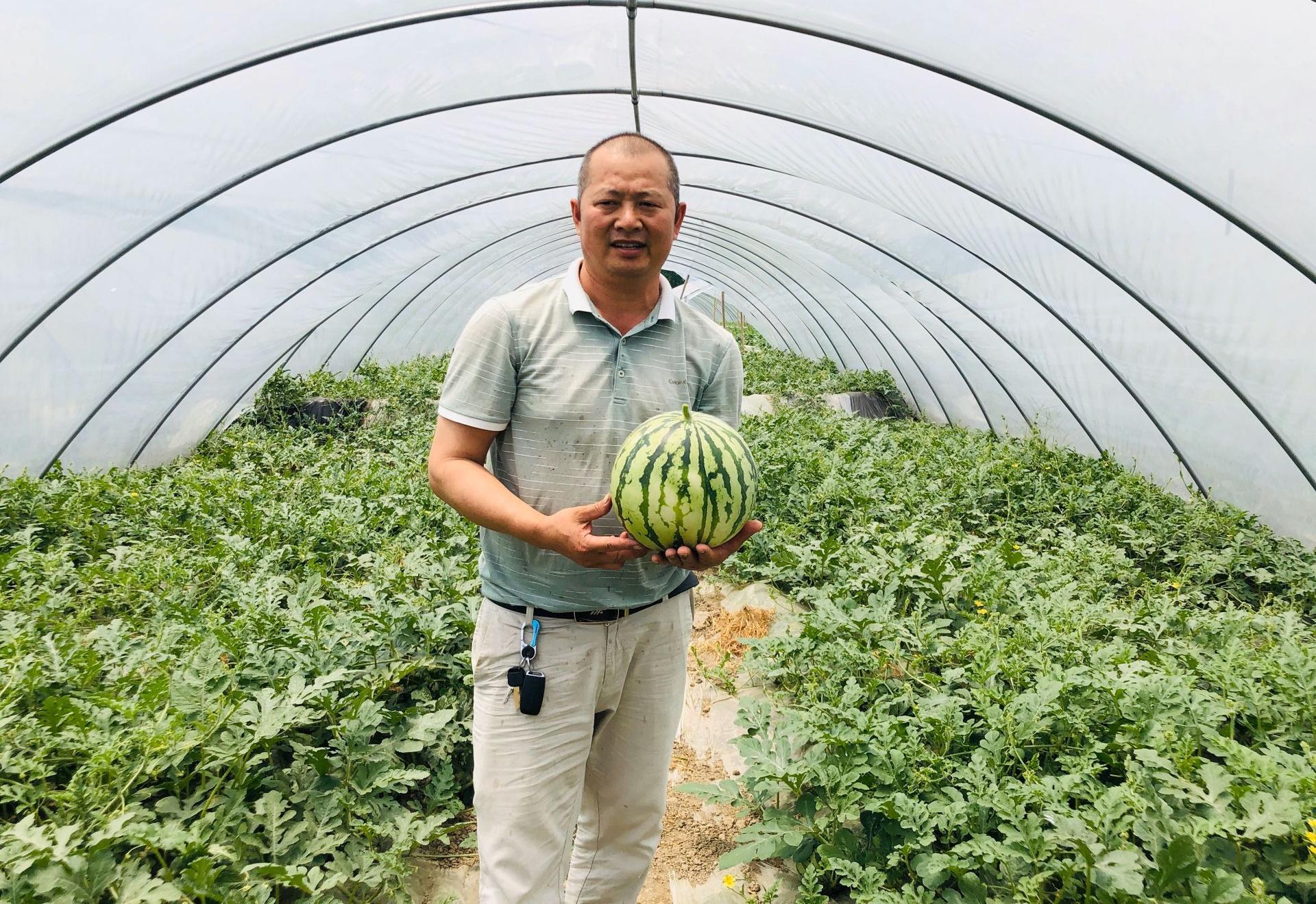 瓜梗的意思_你这瓜保熟吗是什么梗_瓜保熟怎么又火了