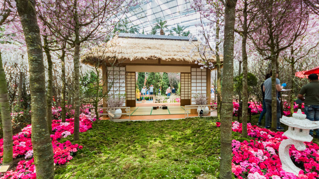 落樱小屋游戏_落樱小屋最后的结局_落樱小屋2