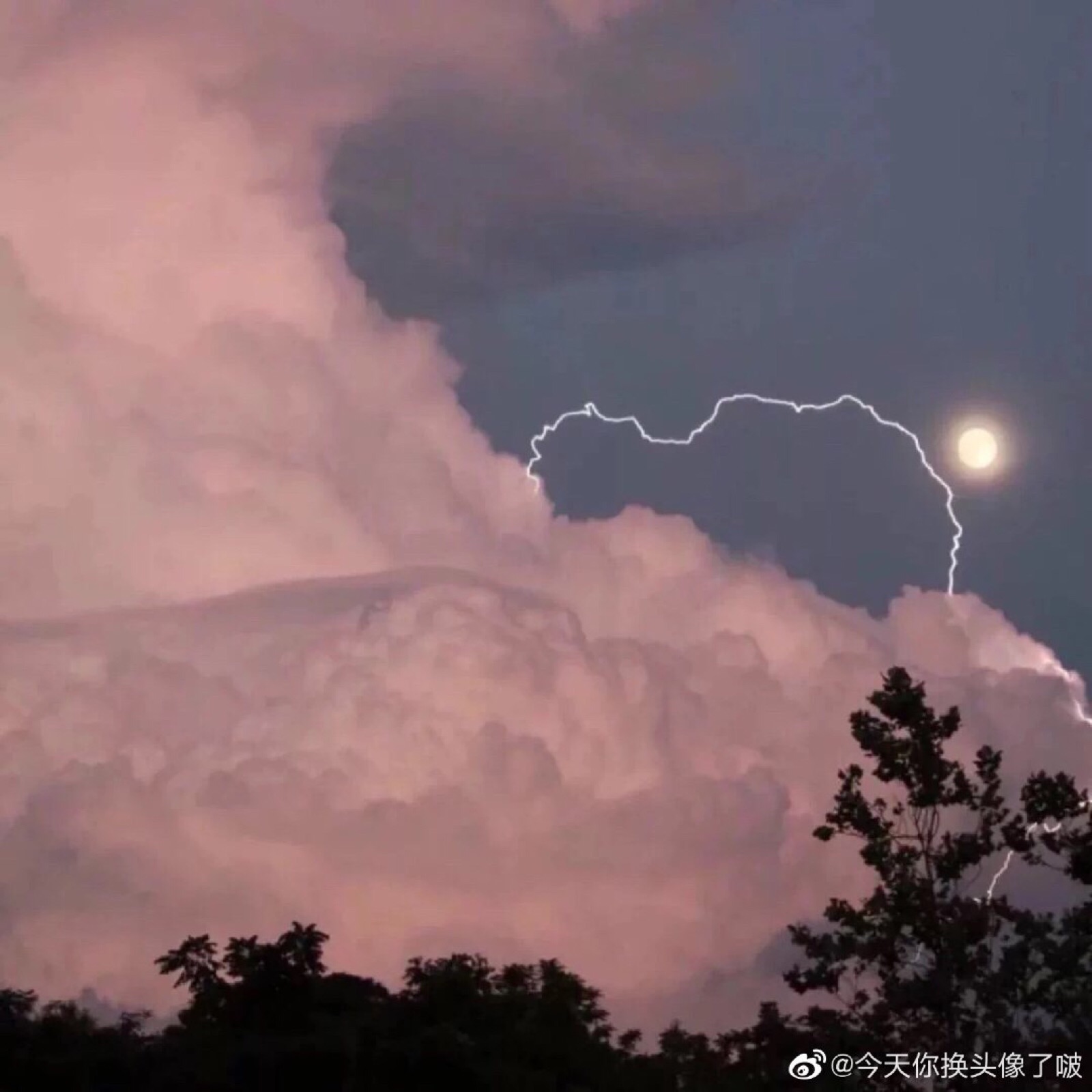 软天空官网_软天空盒子下载_软天空.