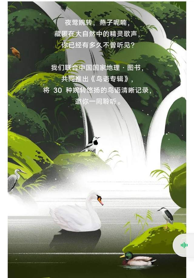 夜莺波吧_夜莺波吧_夜莺波吧