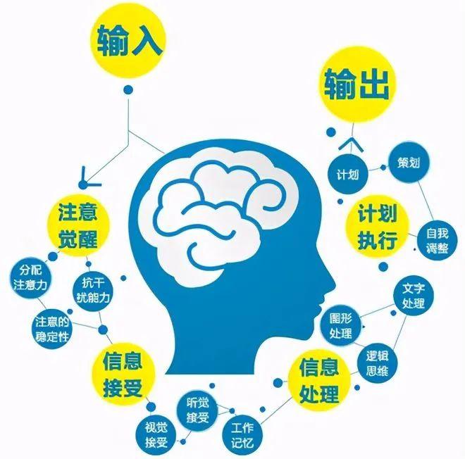 手机打字游戏app_手机打字游戏哪些_打字游戏手机版