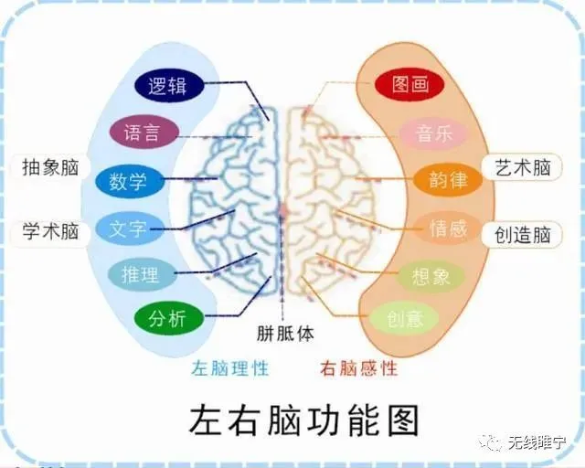 手机打字游戏app_手机打字游戏哪些_打字游戏手机版