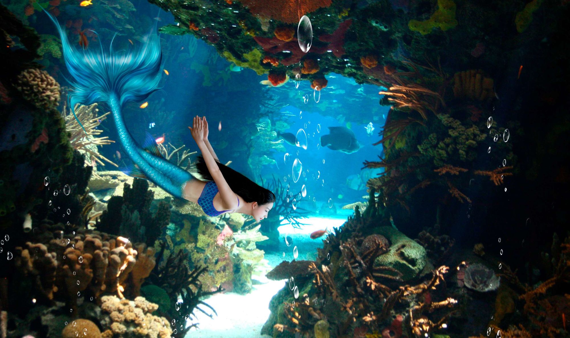 美丽海底世界，探索人鱼的手机游戏