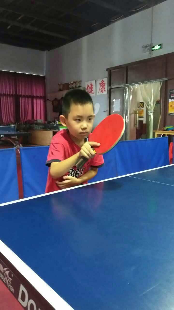 乒乓球大师中文破解版_乒乓球大师软件_乒乓球大师手机游戏下载