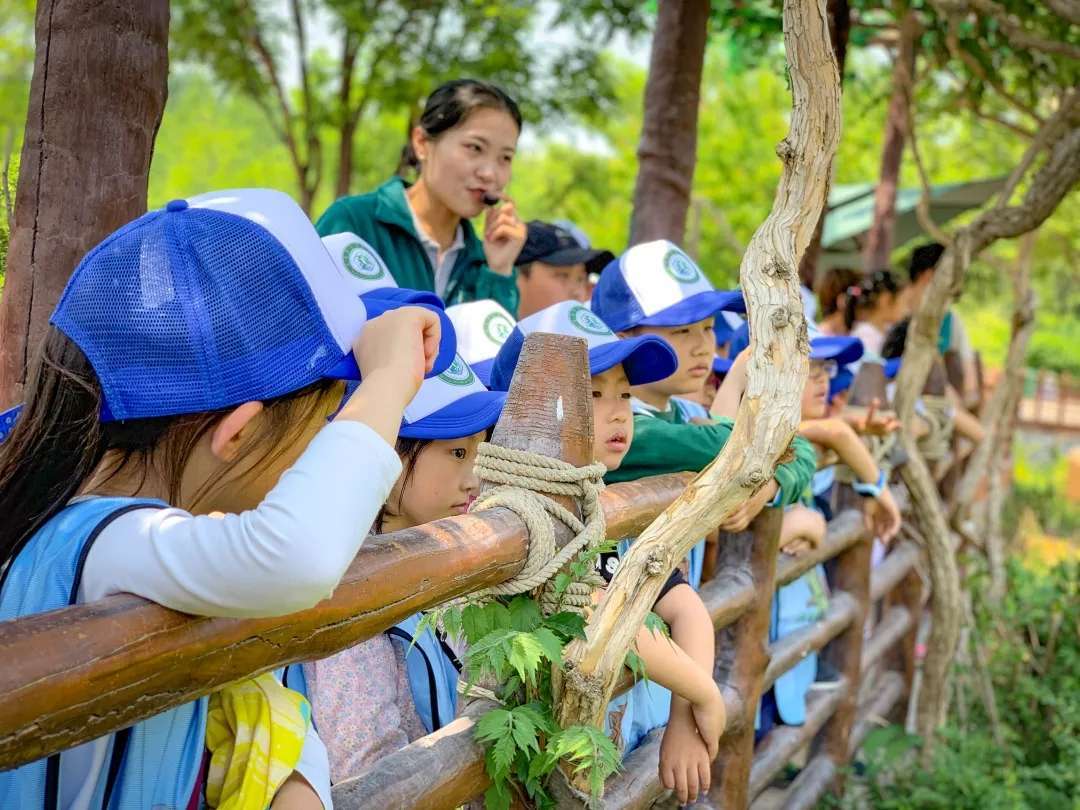 手机版动物生存游戏下载_动物生存类游戏_生存动物模拟器下载