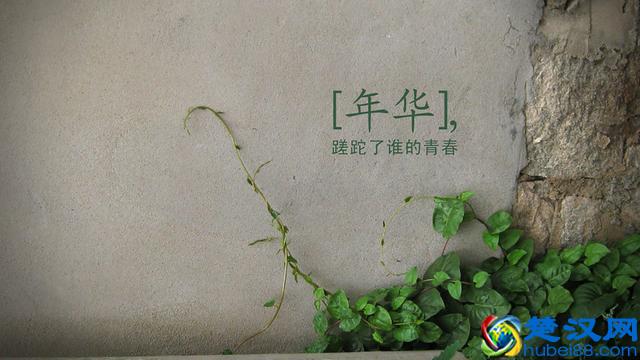 月日字号什么意思_7月11号是什么日子_日子是几月几号