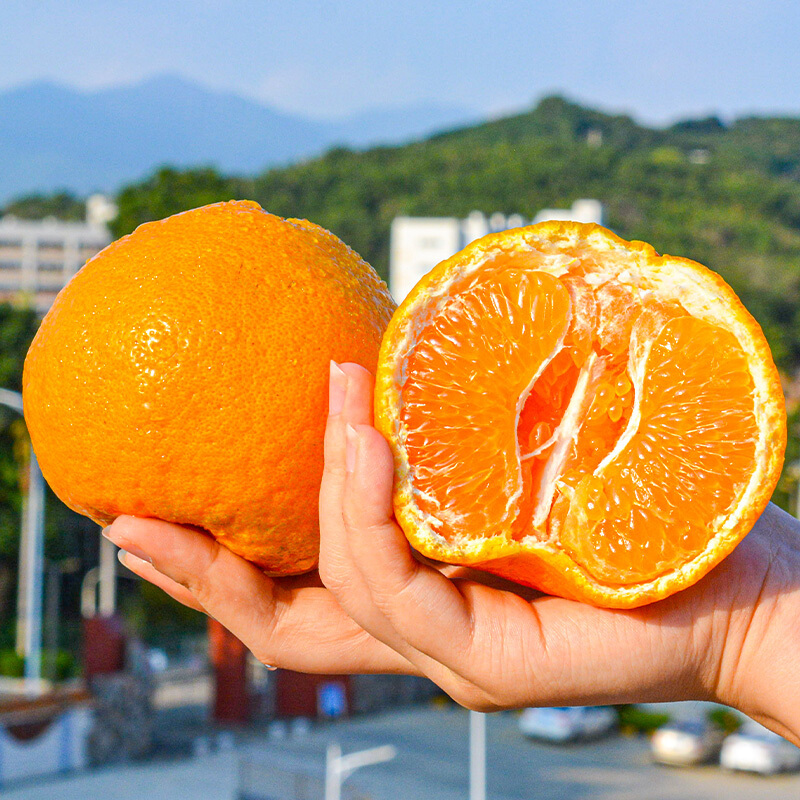 橘纯一的果皮冒险：水果世界里的乐趣与挑战