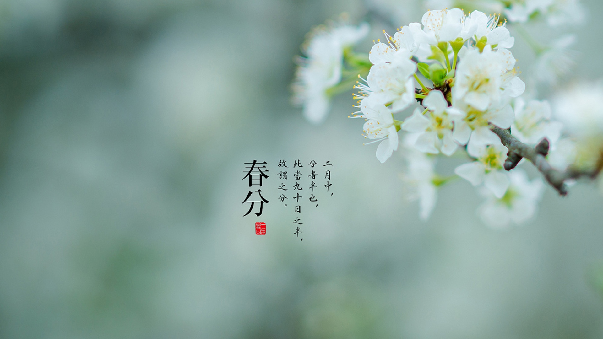 春分三候是什么_春分二候_春分3侯