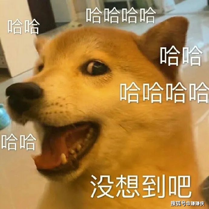 沙雕队友名字_手机版的沙雕队友游戏叫啥_沙雕队友的句子