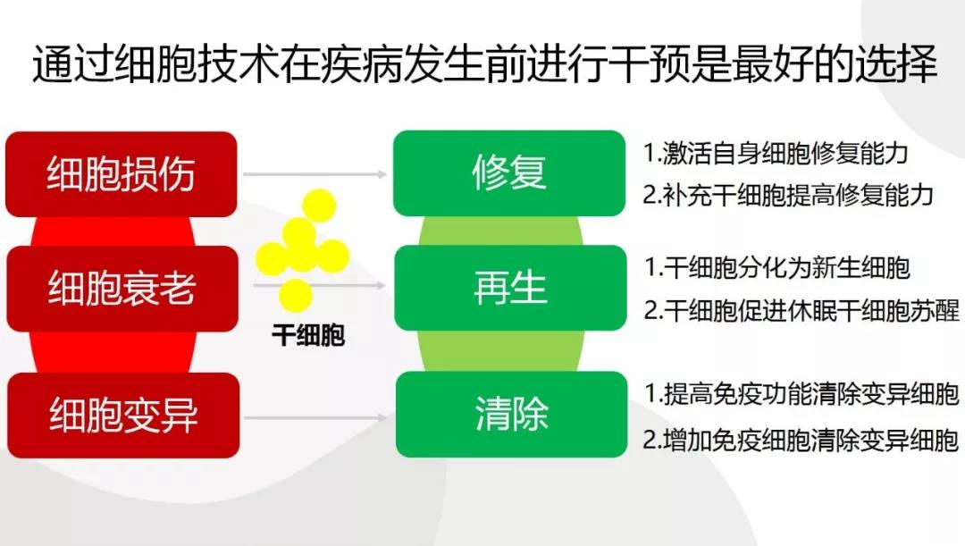 寿命论_寿命论的气息_寿命论爱的力量是无限的