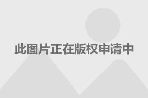 赛车游戏安卓版真实赛车_手机版赛车真实游戏ios_苹果版真实赛车