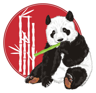 可爱即是正义后一句_可爱即是正义日文_可爱即是正义