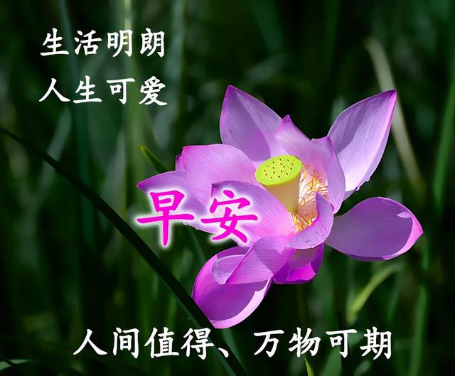 中国银行开通短信提醒业务_中国银行短信通知怎么开通_中国银行开通短信通知要钱吗