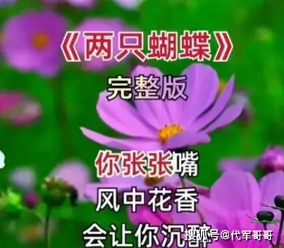 人间芳菲尽啥意思_人间四月芳菲尽_人间芳菲尽歌曲