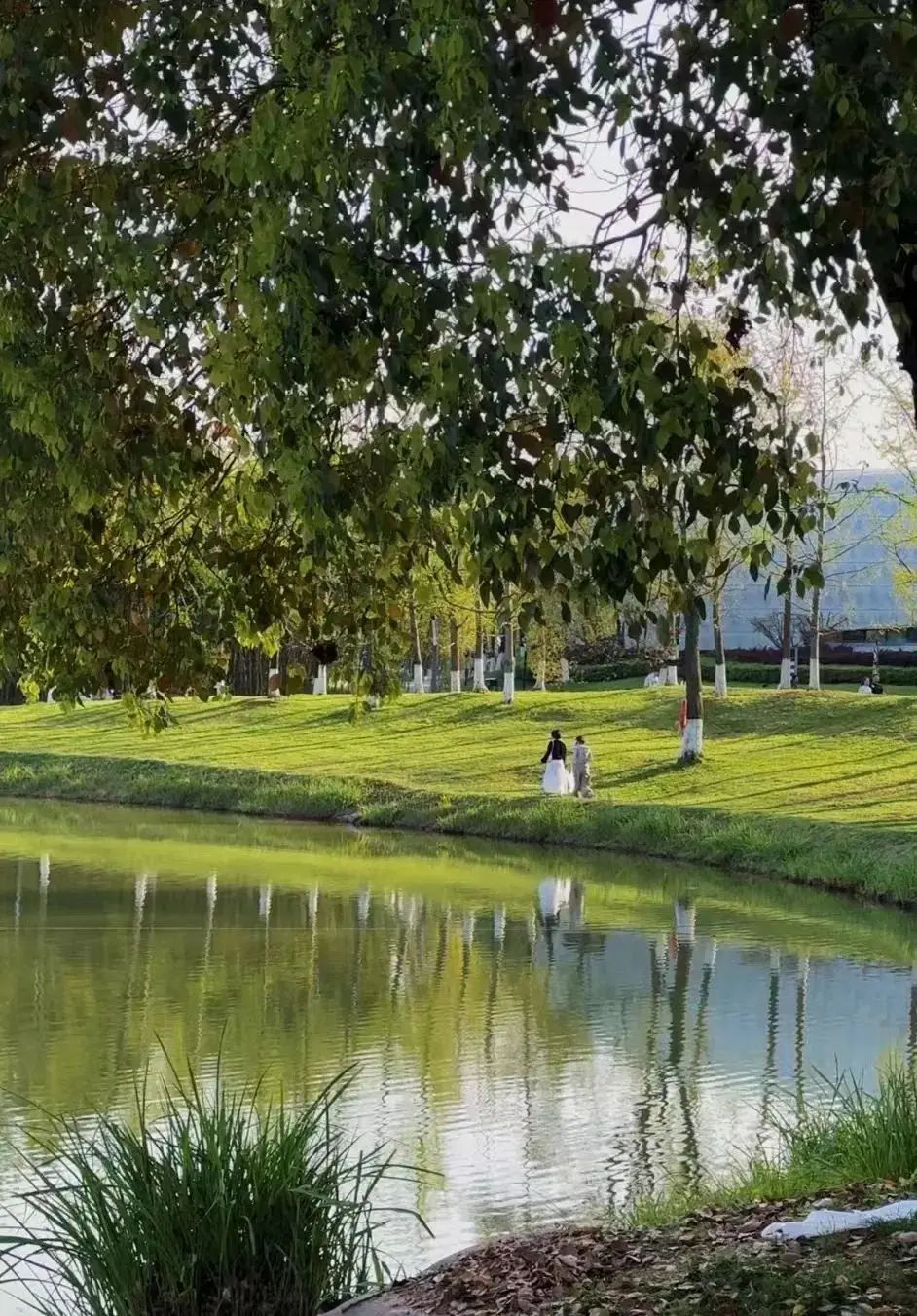 苹果手机笑脸游戏_苹果手机笑脸图片_iphone笑脸图标