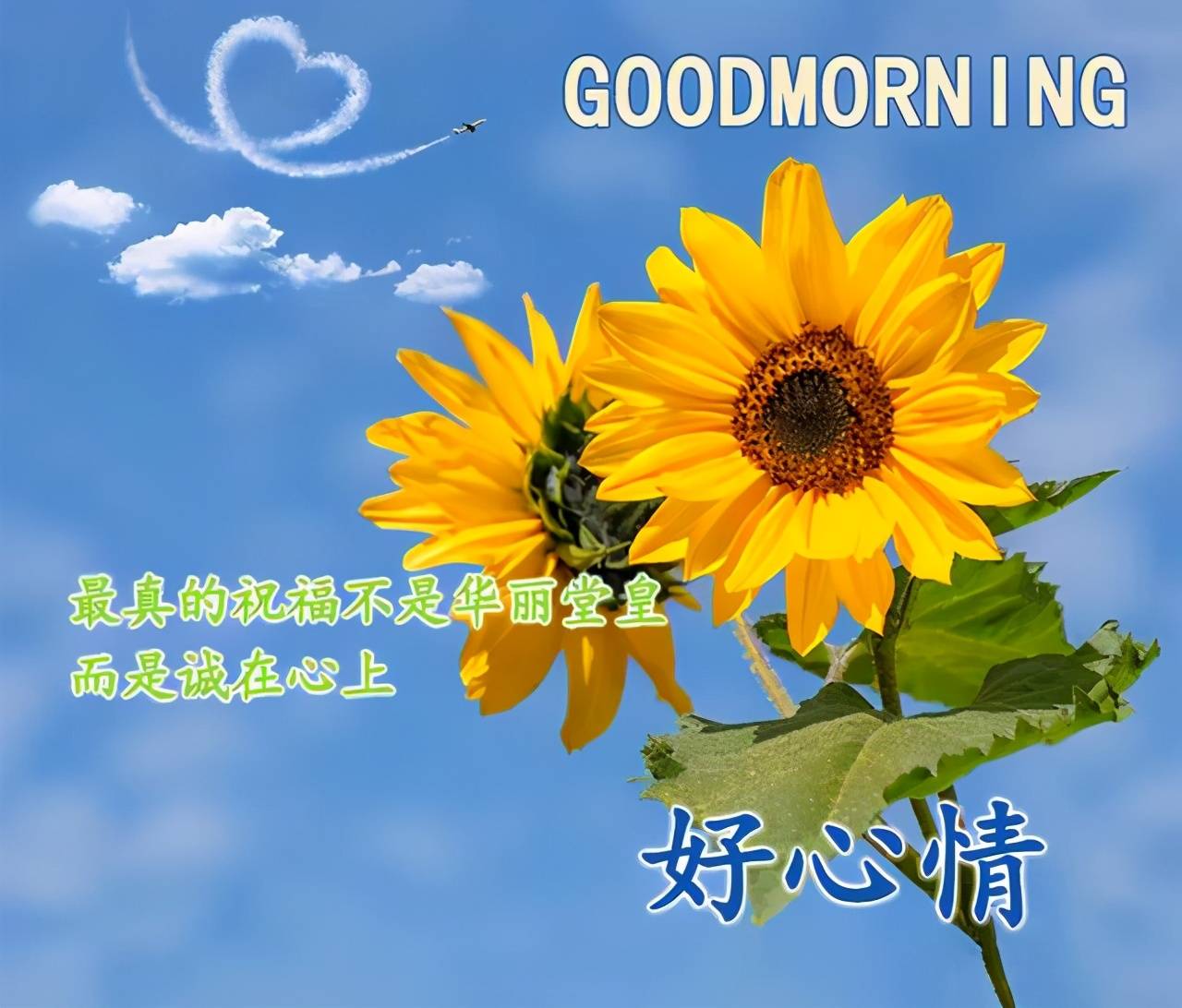 问候日_问候语怎么写_问候的图片