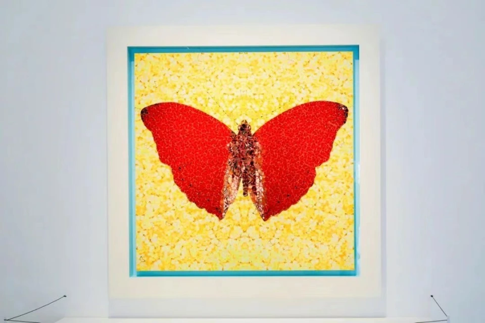 有盒子什么意思_有盒子的图片_时尚盒子有图有真相