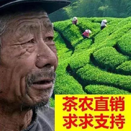 强欲之壶_强欲之壶_强欲之壶