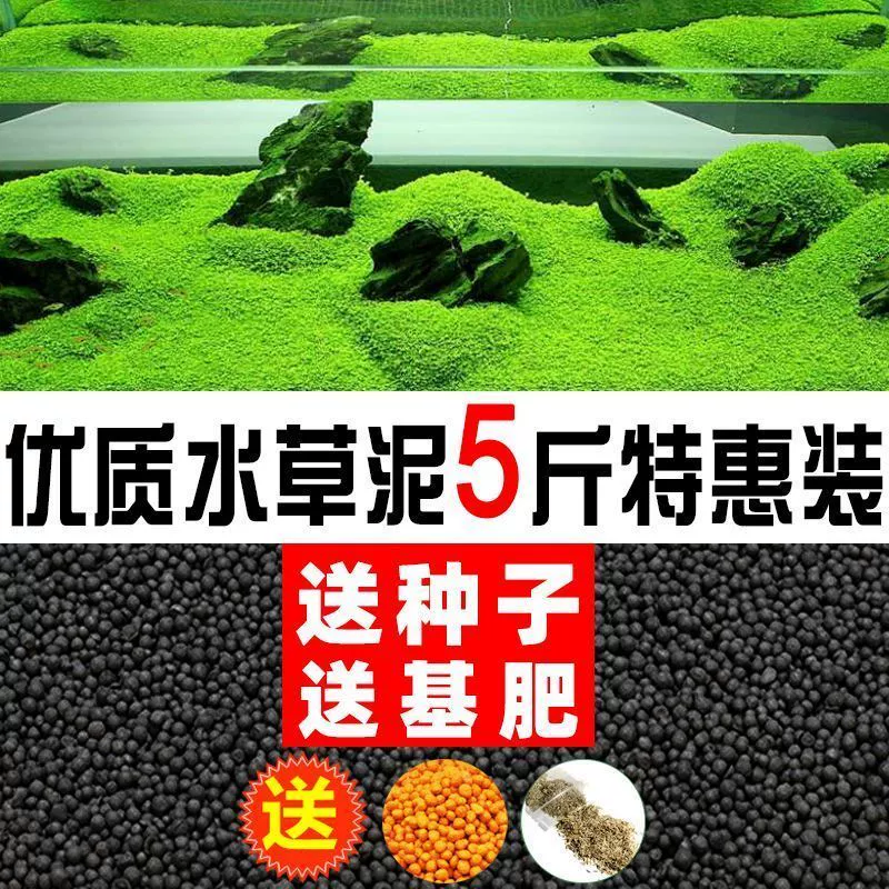 淘宝商家登录入口官网_淘宝卖家登录官网_淘宝官网卖家登录入口
