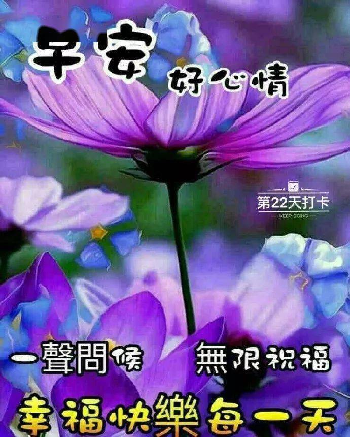 由比滨结衣身高_由比滨结衣_由比滨结衣图