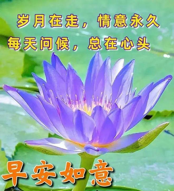 由比滨结衣身高_由比滨结衣图_由比滨结衣
