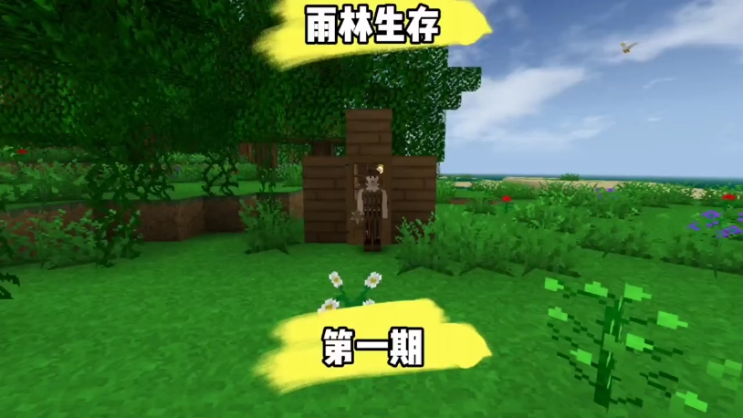 直播快手手机游戏怎么弄_手机快手如何游戏直播_快手用手机直播游戏