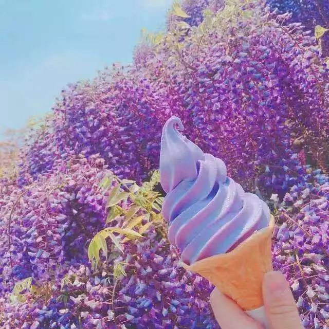 木下若菜_木下若菜_木下若菜