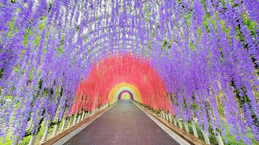 木下若菜_木下若菜_木下若菜