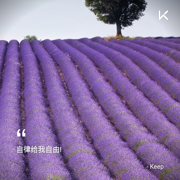 瑜伽教练_瑜伽考证_瑜伽日
