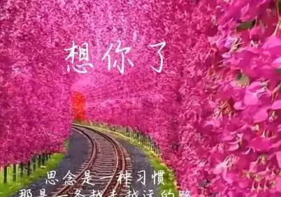 桐条美鹤喜欢谁_桐条美鹤_桐条美鹤攻略