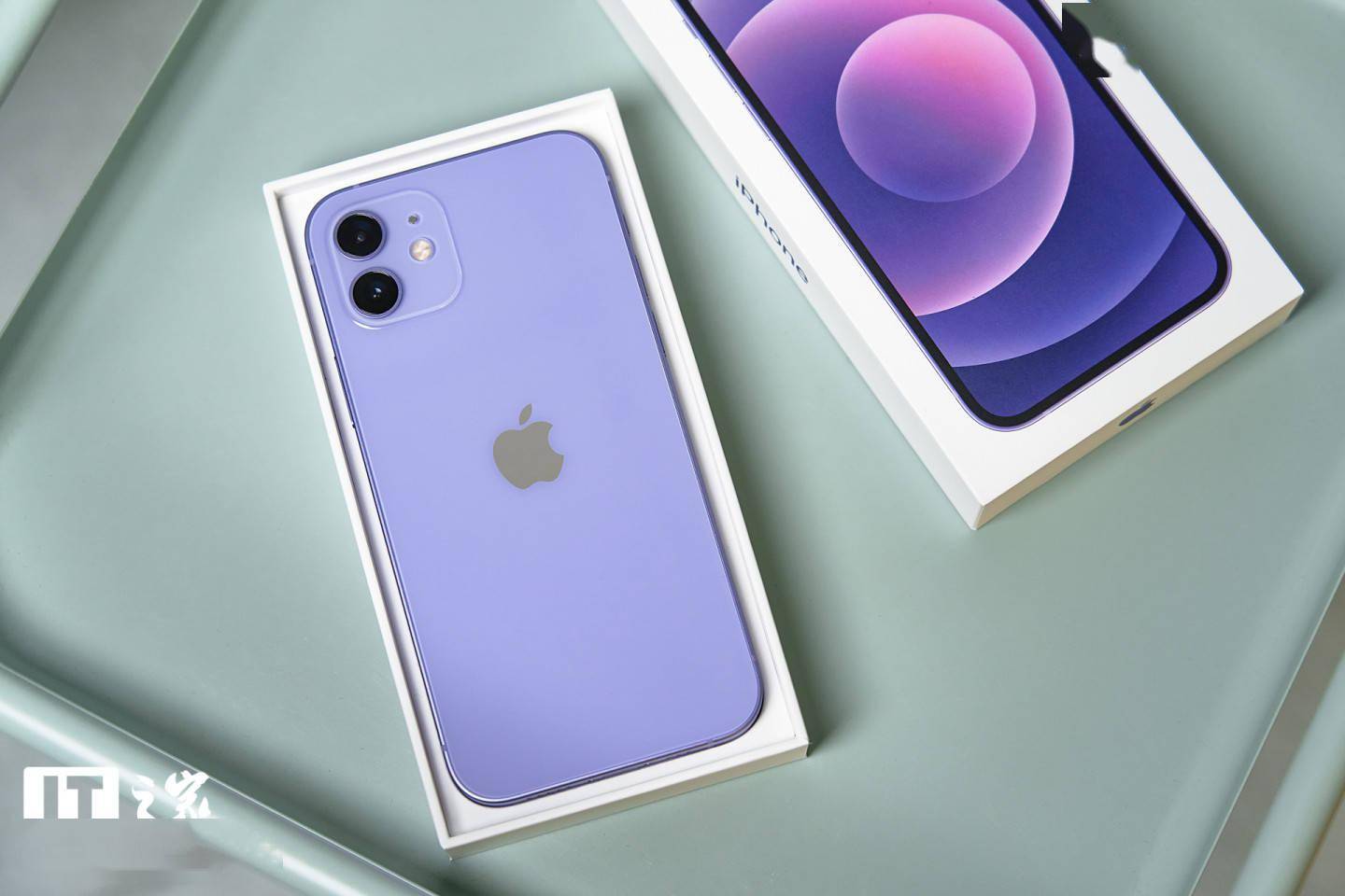 多长厘米的草金鱼会产卵_iphone12多长多少厘米_多长厘米是一米