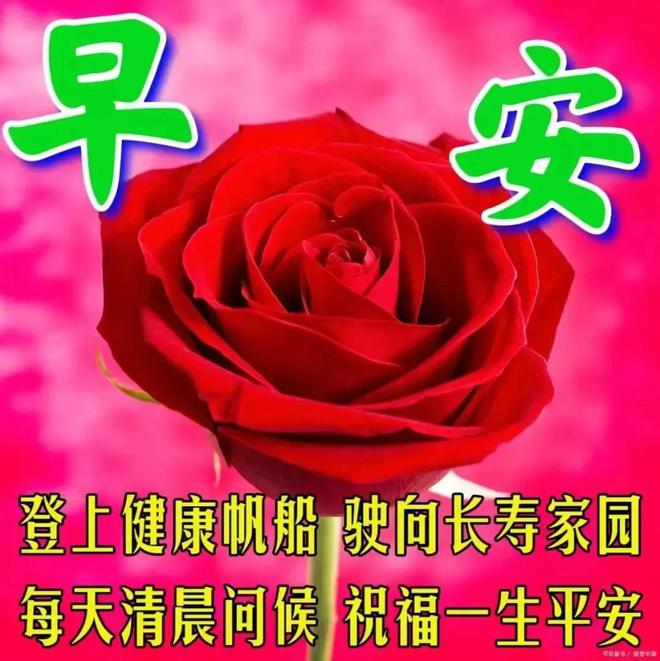 手机解压游戏oge-手机解压游戏 OGE：释放压力的神奇小宇