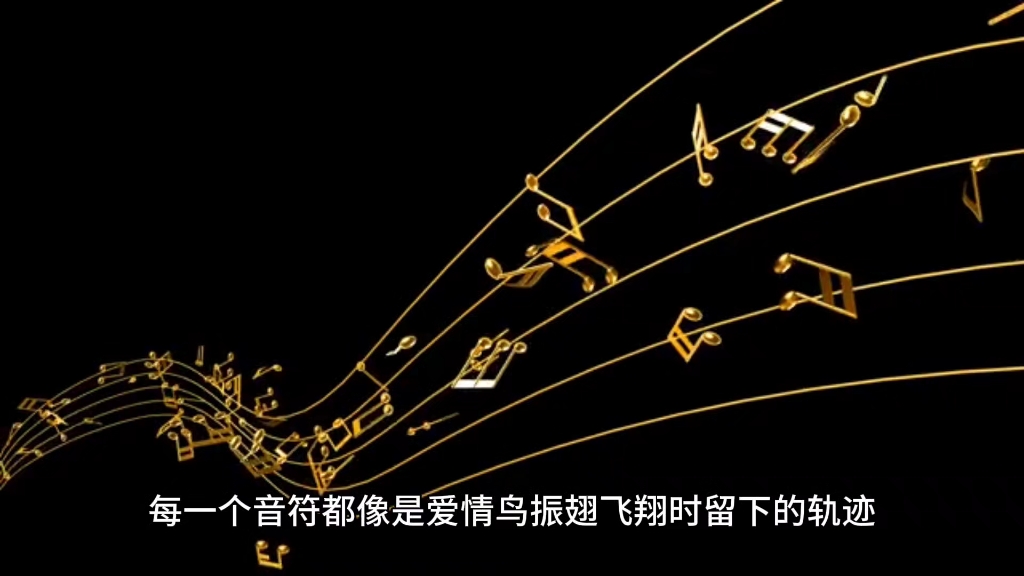 熊星南_星熊_熊星宇