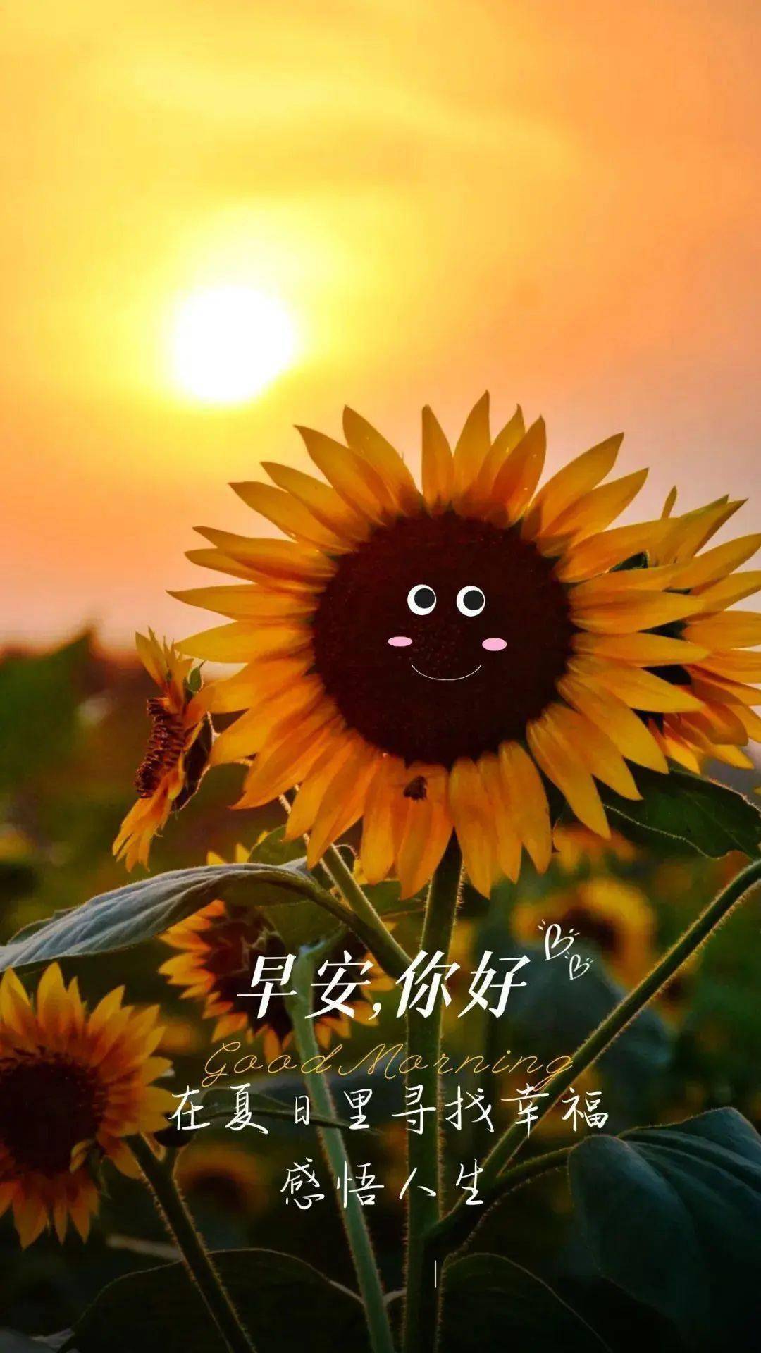 夏季是几月_夏季的月亮是什么情况_月份是夏天