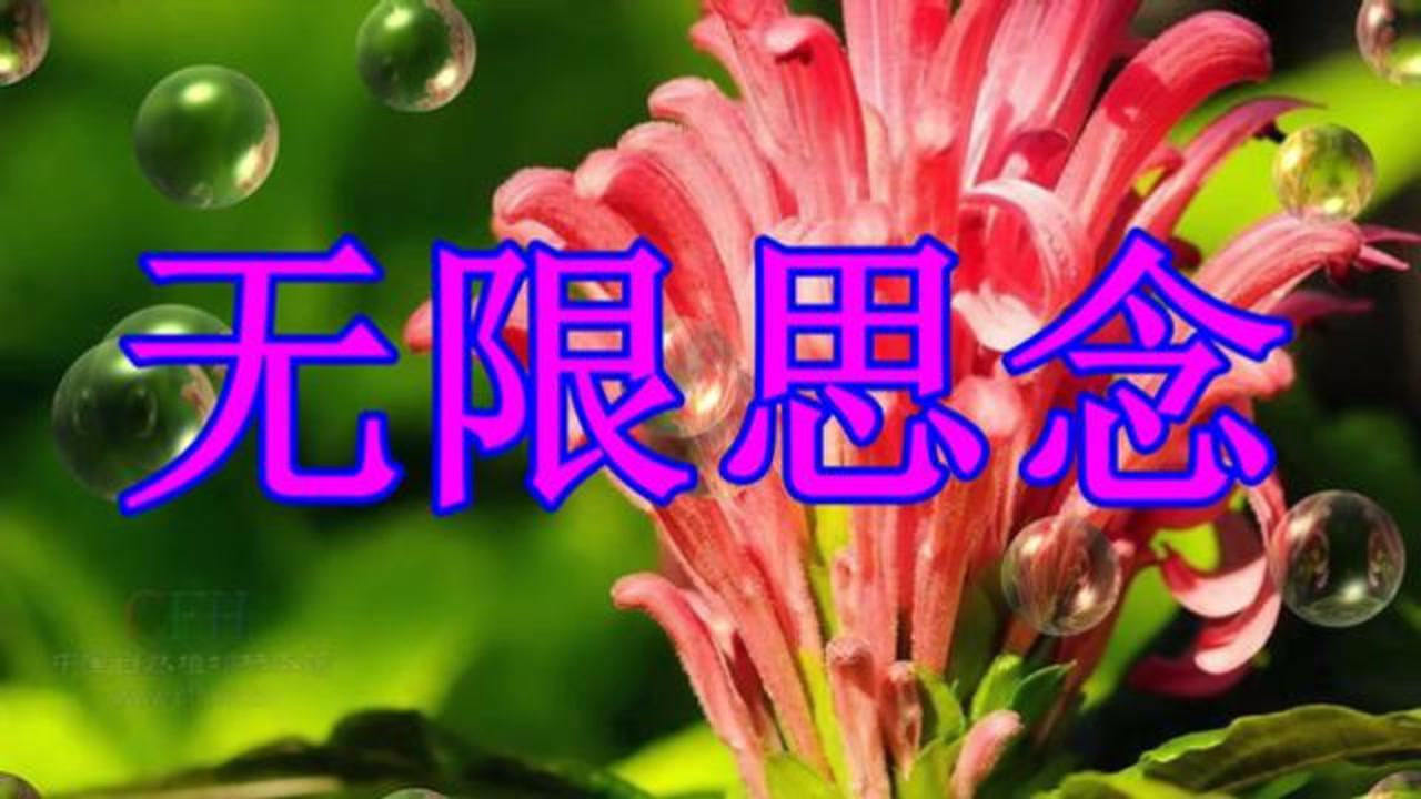 清明节年画_清明节年年都回来扫墓吗_23年清明节