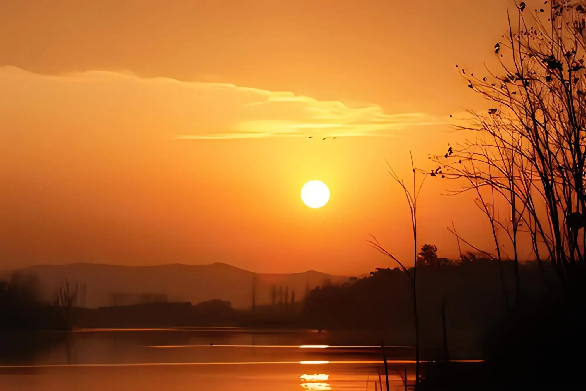 丹生谷森夏_丹生谷森夏毕业后转信了什么_丹生谷森夏为什么染头发