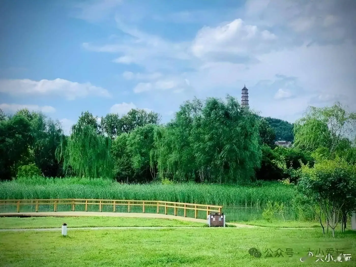 夏天脚热是怎么回事_最热夏天_夏天方向盘热