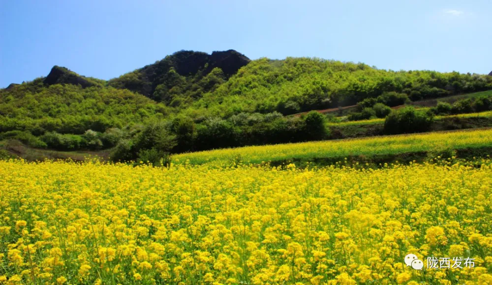 最热夏天_夏天方向盘热_夏天脚热是怎么回事