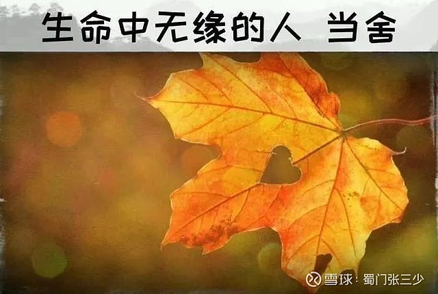 挺好玩的怎么回复_挺好萌_不也挺好的吗