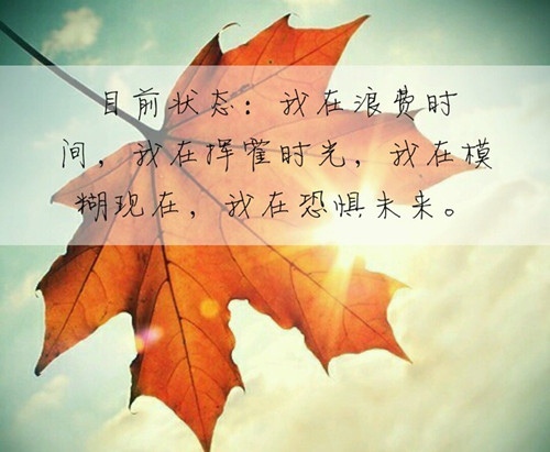 挺好玩的怎么回复_不也挺好的吗_挺好萌