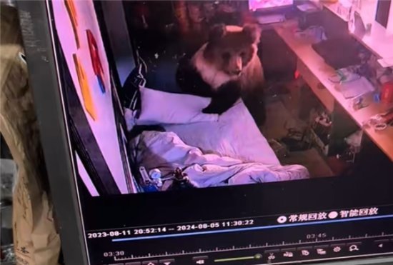 报警手机游戏可以打电话吗_手机可以报警游戏_可以报警的游戏