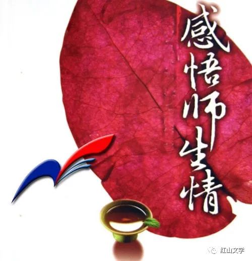 麻美由真麻美由麻_石田妮可_石田麻美