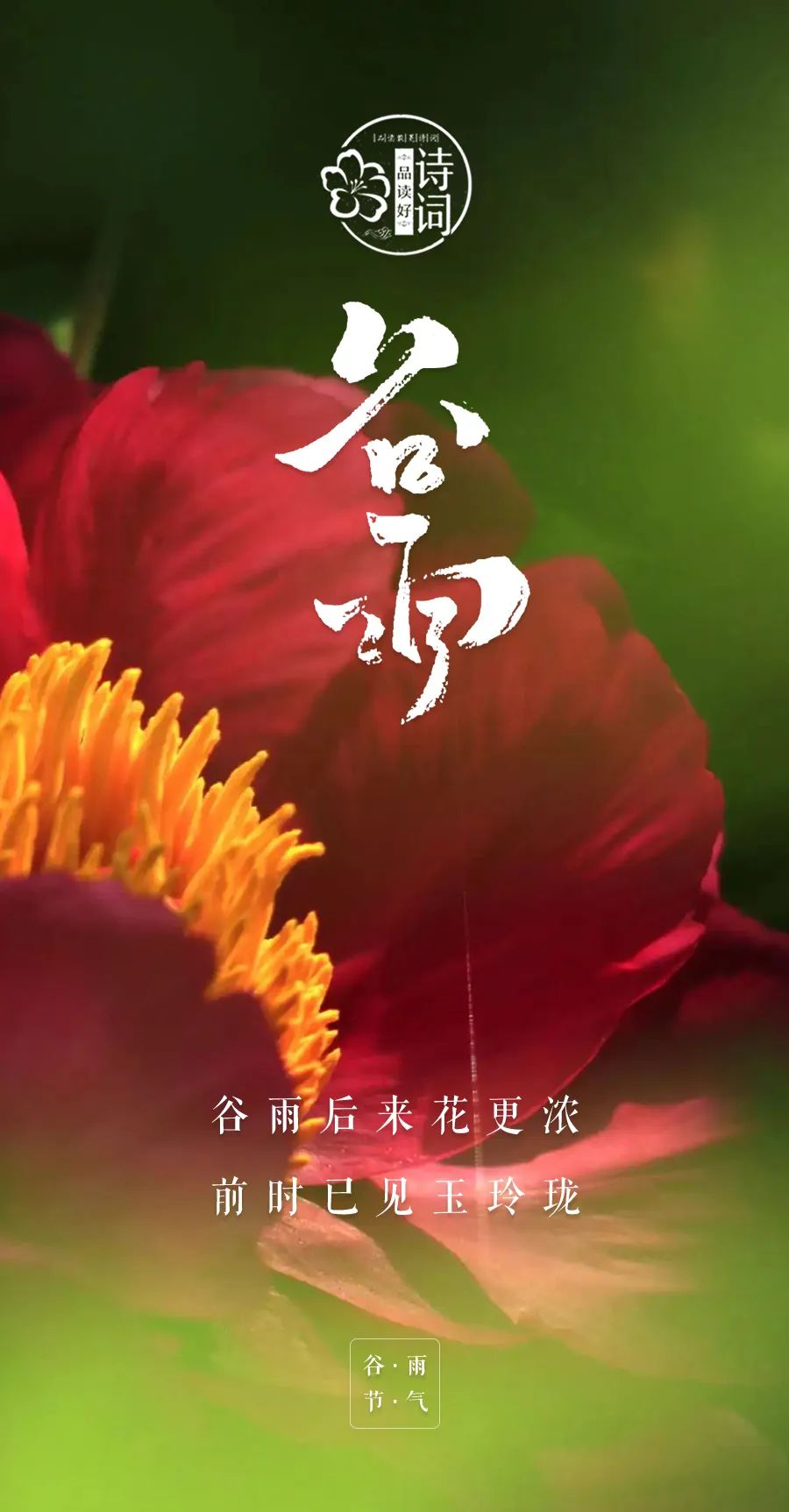 《谷雨》古诗_谷雨经典古诗_谷雨诗句古诗大全