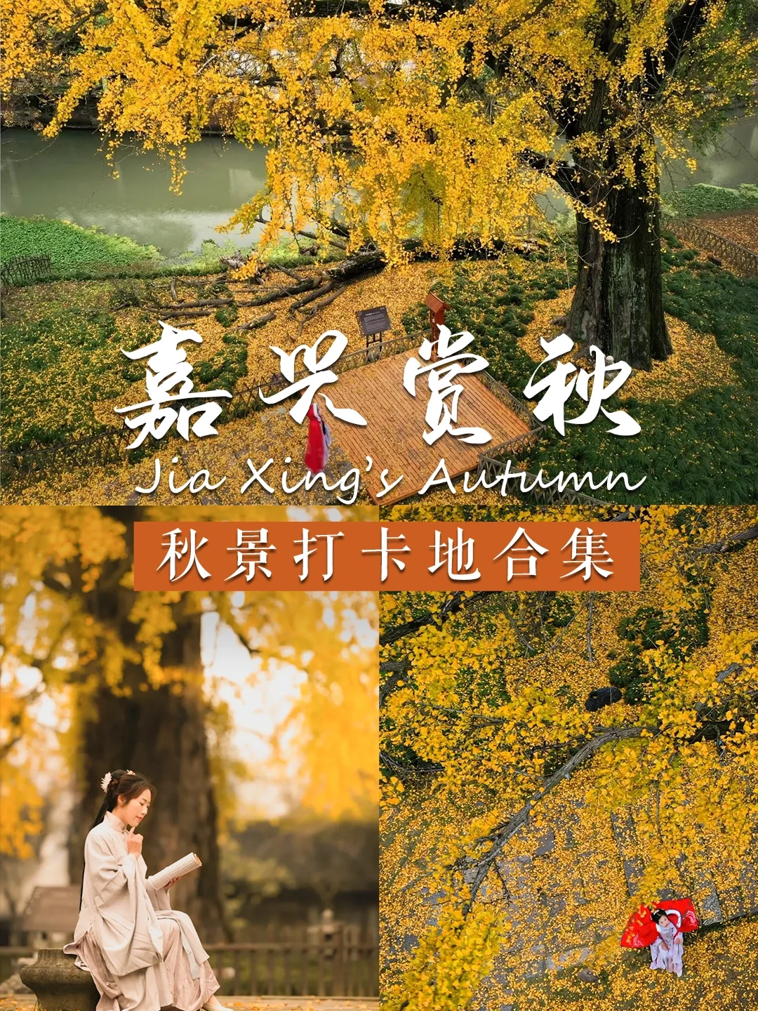 八佰电影免费版在线观看完整版_电影在线看百度云观看_娜塔莉整版免费观看