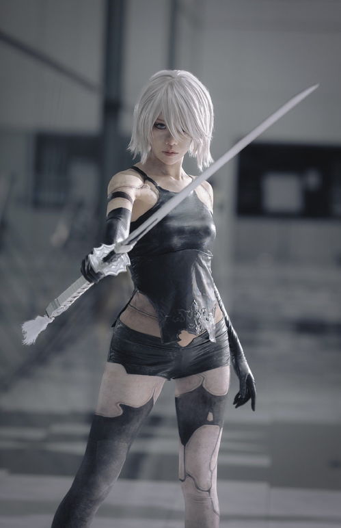 尼尔a2