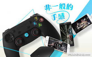 小说排行榜 