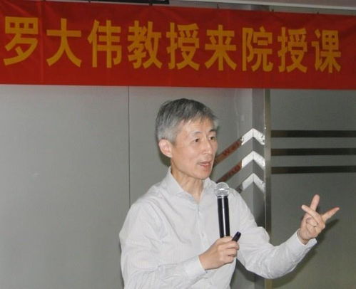 罗大伟游戏,探索虚拟世界的奇幻之旅