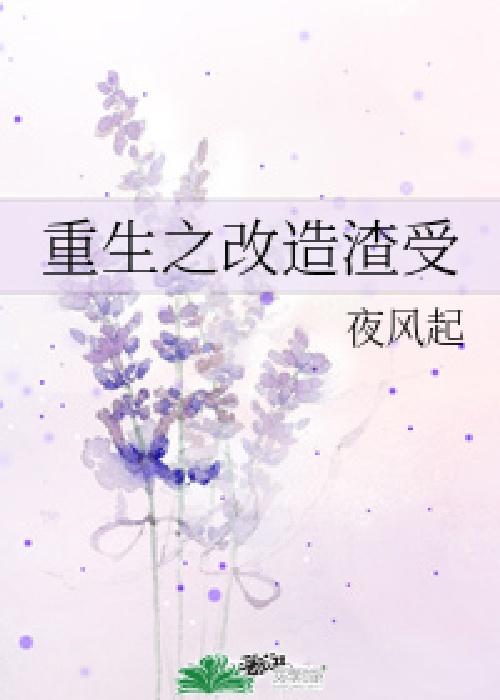 完美改造游戏中文版 