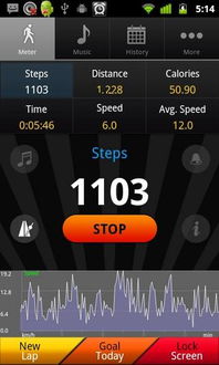 pedometer 安卓游戏,安卓游戏pedometer带你畅游健康生活之旅