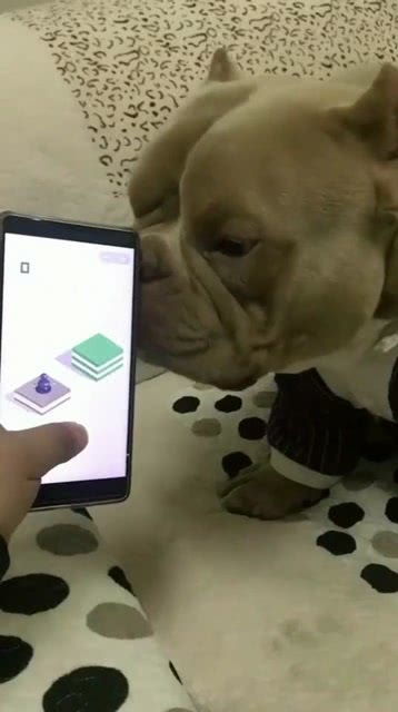 闭眼睛手指游戏,探寻手指游戏的奥秘